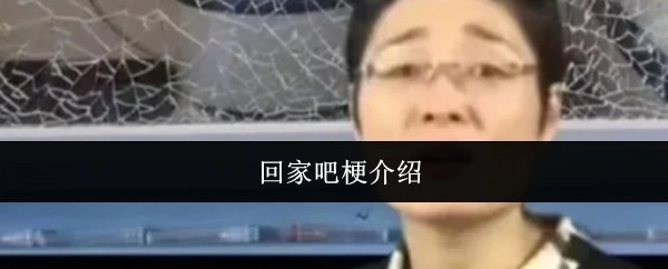 关于“回家吧”这个梗的详细说明