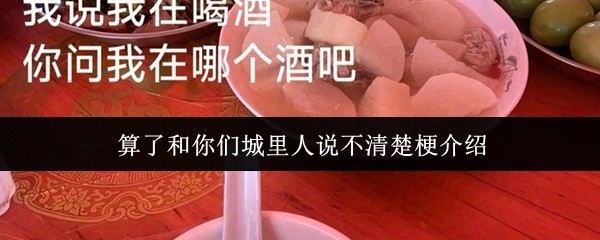 “算了，跟你们城里人真是讲不明白”这个梗的介绍