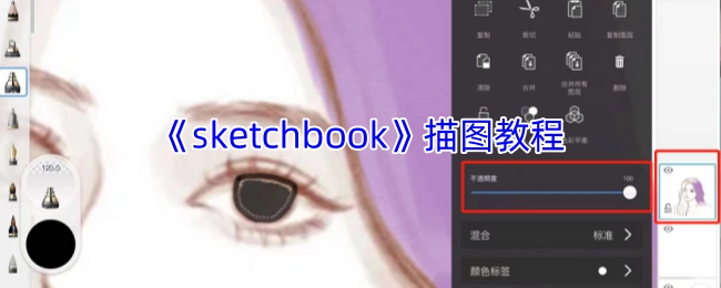 《sketchbook》软件描图教学指南