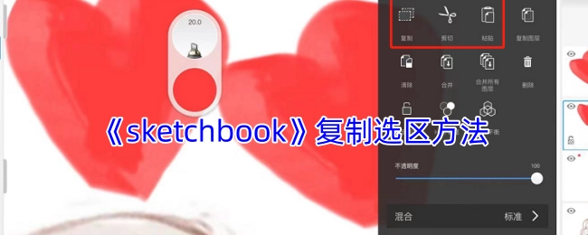 《sketchbook》中复制选区的操作方法