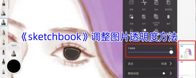 《sketchbook》中调整图片透明度的操作方法