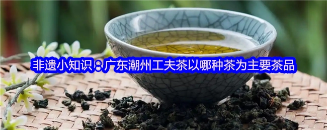非遗小知识：广东潮州工夫茶主要选用哪种茶作为茶品呢