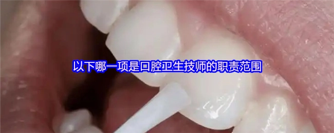 口腔卫生技师的职责范畴包含以下哪一项内容