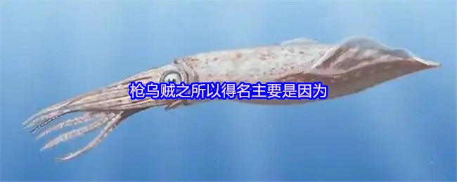 枪乌贼得名的主要原因在于