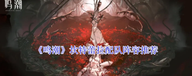 《鸣潮》坎特蕾拉阵容搭配推荐