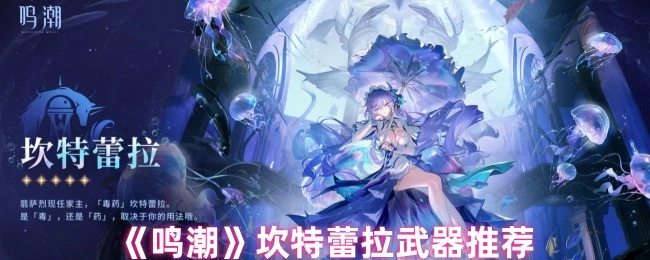 《鸣潮》坎特蕾拉适用武器推荐