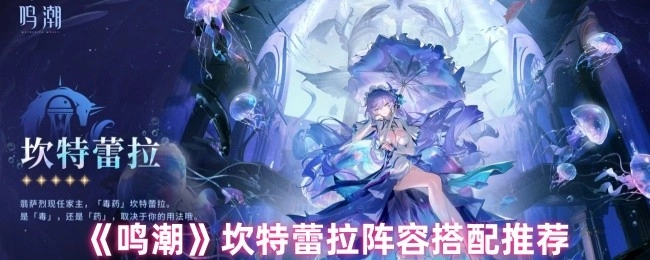 《鸣潮》坎特蕾拉队伍配置建议