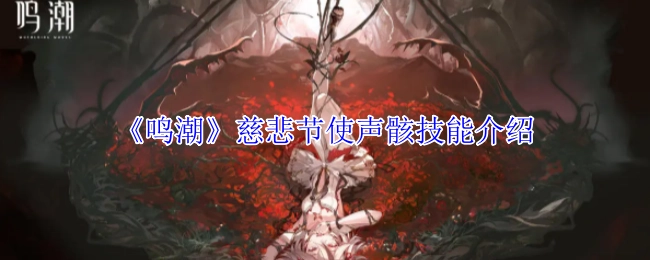 《鸣潮》慈悲节使声骸的技能详情说明