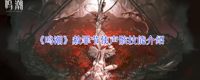 《鸣潮》赦罪节使声骸技能详情