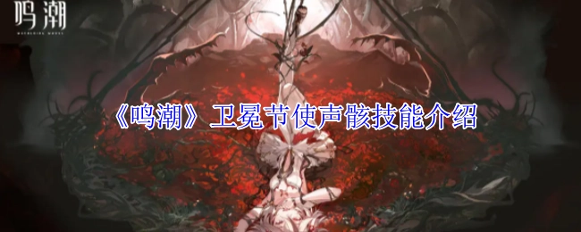 《鸣潮》卫冕节使声骸技能说明