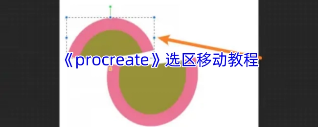 《Procreate》选区移动操作指南