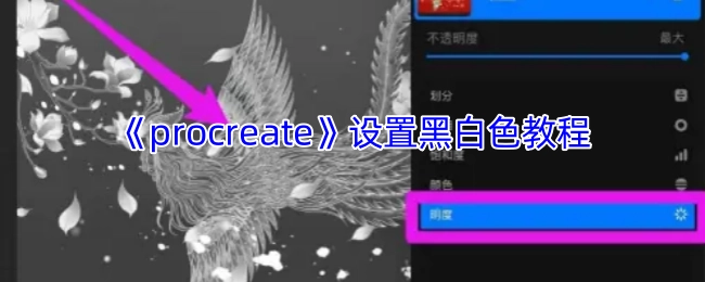 《procreate》黑白色调设置指南