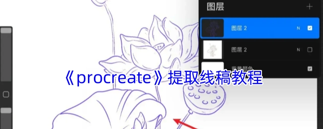 《procreate》线稿提取的详细教程