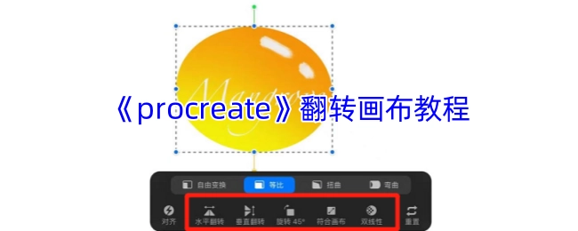 《Procreate》画布翻转操作指南