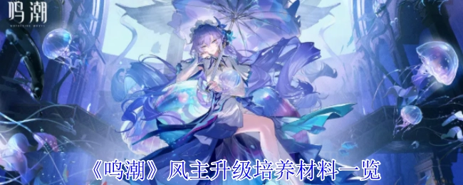 《鸣潮》风元素主角升级养成材料汇总
