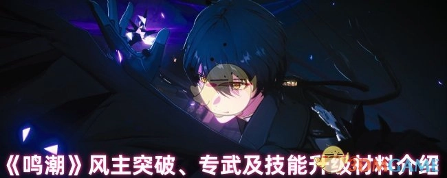 《鸣潮》风属性主角突破材料、专属武器及技能升级材料全解析