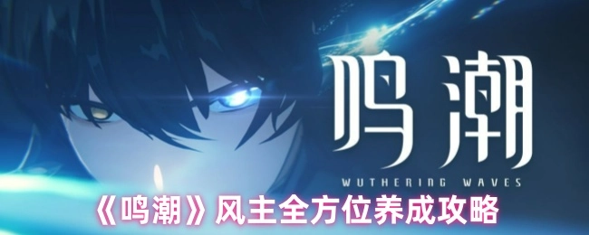 《鸣潮》风元素主角全维度培养指南