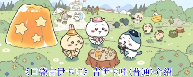 《口袋吉伊卡哇》中吉伊卡哇（普通形态）的介绍