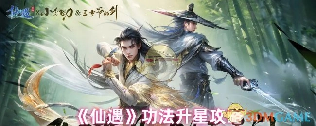 《仙遇》功法提升星级的实用指南