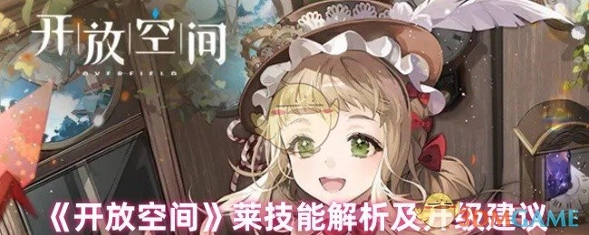 《开放空间》莱技能深度解析与升级策略指南
