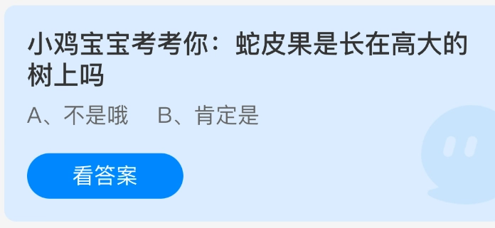 小鸡宝宝考考你：蛇皮果是生长在高大的树木上吗