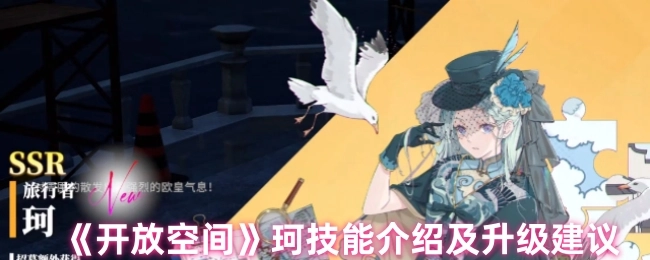 《开放空间》珂的技能解析与升级指南
