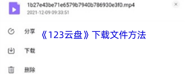 《123云盘》文件下载指南
