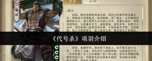 《代号杀》中项羽角色的详细介绍