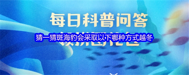 猜一猜斑海豹会选择以下哪种方式来过冬