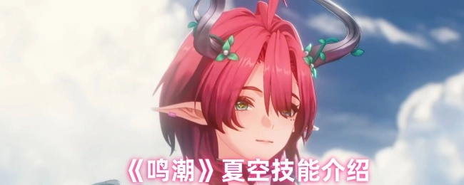 《鸣潮》角色夏空的技能详情说明