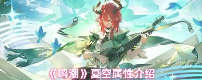 《鸣潮》夏空属性详情解析
