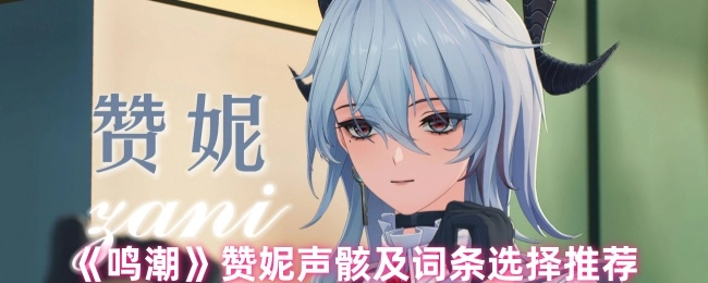 《鸣潮》赞妮声骸搭配与词条选择指南