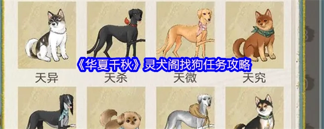 《华夏千秋》灵犬阁寻犬任务全攻略
