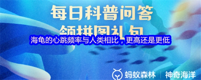 相较于人类，海龟的心跳频率是更高还是更低呢？