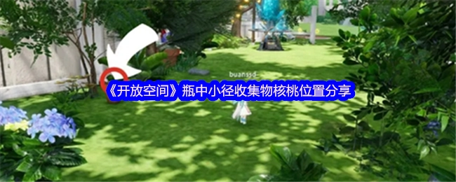 《开放空间》瓶中小径核桃收集物位置分享