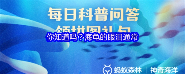 你晓得吗？海龟的眼泪一般