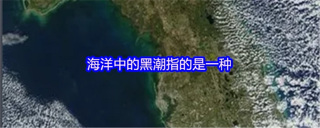 在海洋里，黑潮所指的是一种