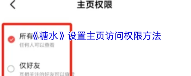 《糖水》中主页访问权限的设置办法