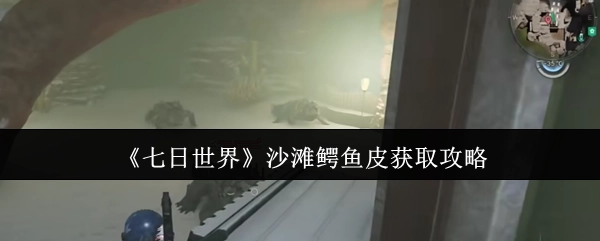 《七日世界》里沙滩鳄鱼皮的获取方法