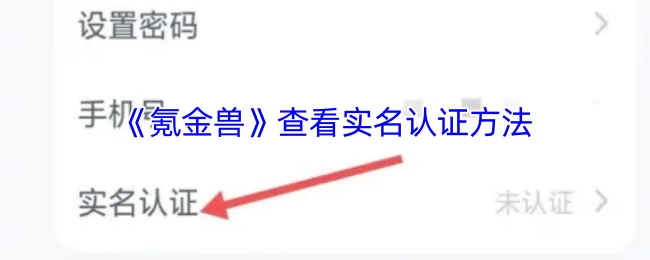 了解《氪金兽》实名认证方法可通过查看此内容