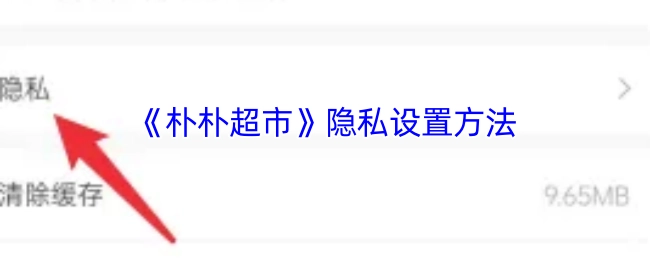 朴朴超市隐私设置的方式