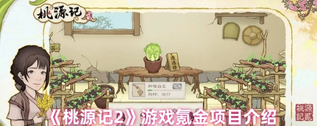 《桃源记2》游戏内氪金项目详细说明