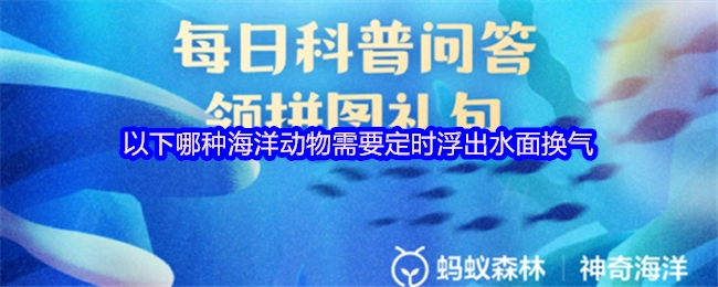 以下哪种海洋生物需要定时浮到水面进行换气呢？