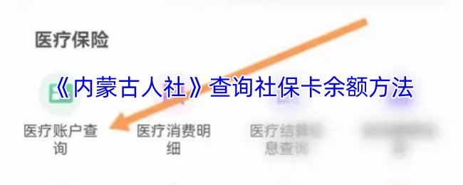 《内蒙古人社》平台查询社保卡余额的具体方式