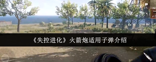 《失控进化》火箭炮适配弹药说明