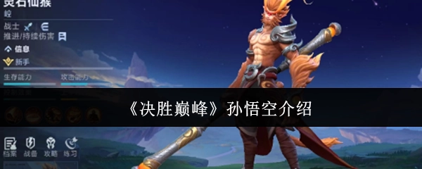《决胜巅峰》中孙悟空的介绍
