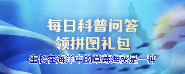 草莓海葵生长在海洋中，它是一种