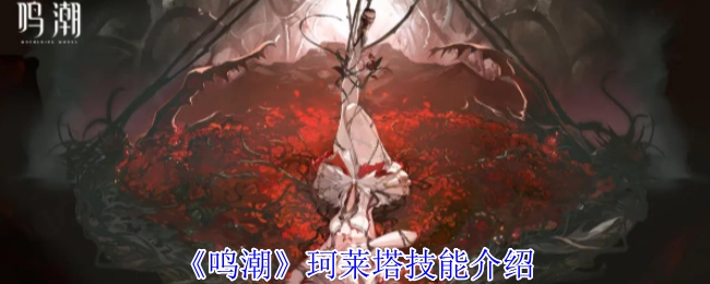 为你呈现《鸣潮》珂莱塔的技能介绍