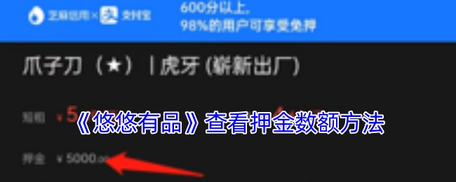 《悠悠有品》中押金数额的查看方法