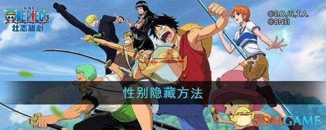 《航海王壮志雄心》中性别隐藏的方式